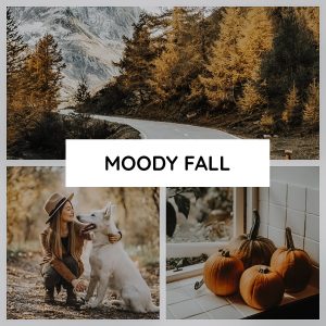 collage moody fall lightroom presets