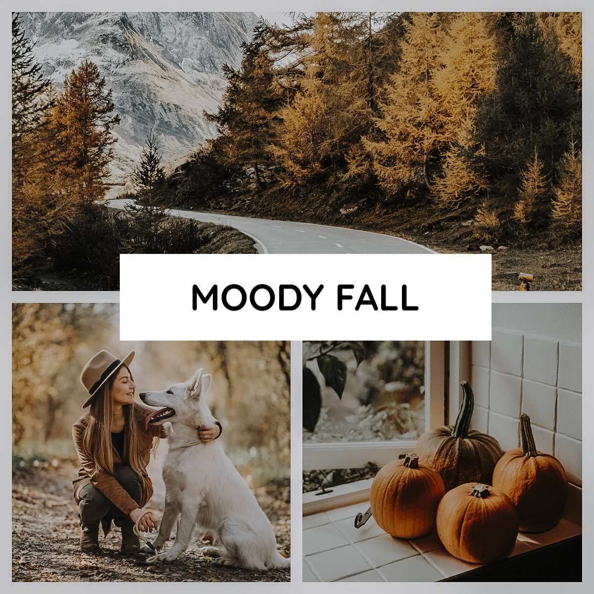 collage moody fall lightroom presets