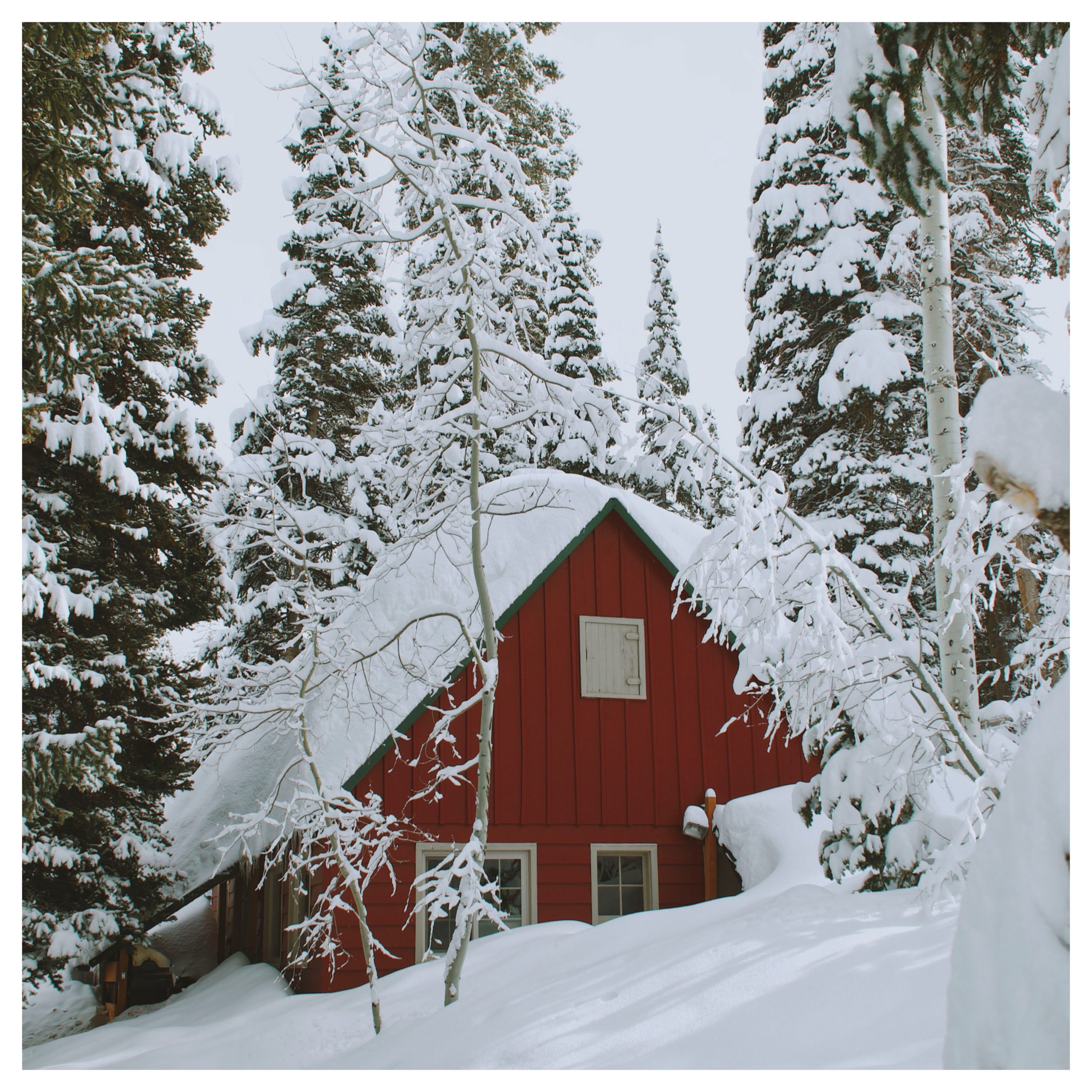huisje in de sneeuw in het bos best presets